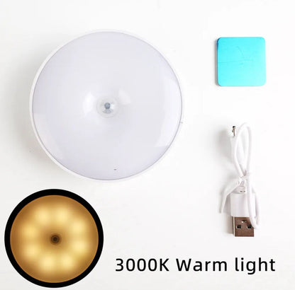 Sensor light